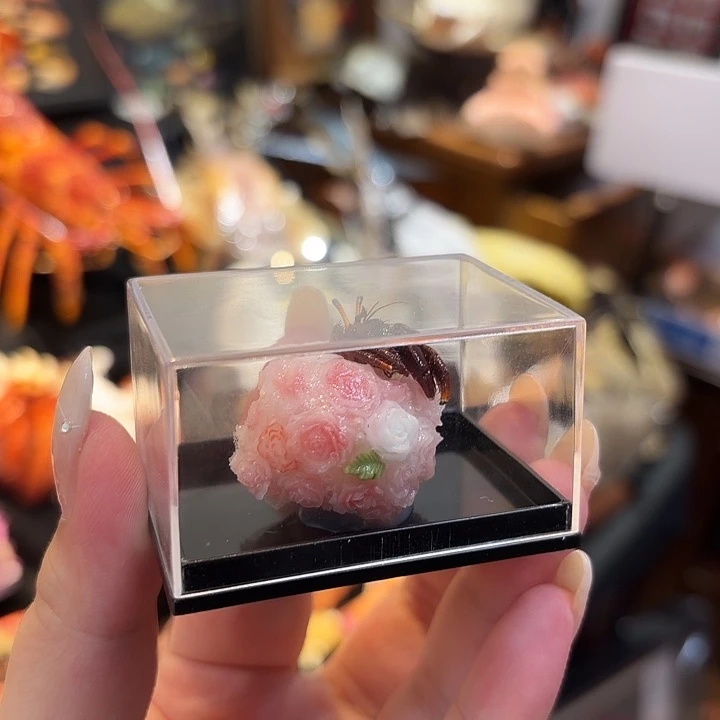 真实迷你寄居蟹标本