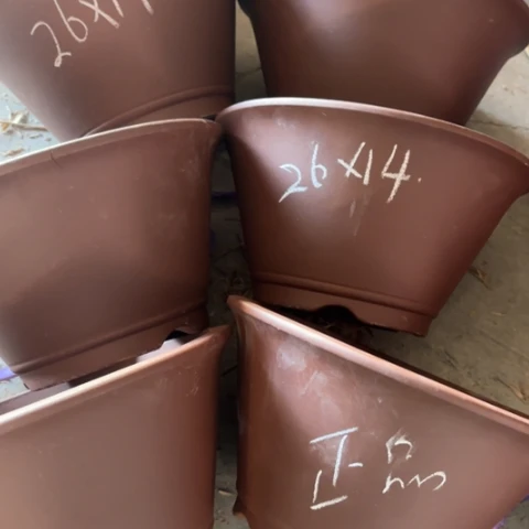 100-6。         26-14