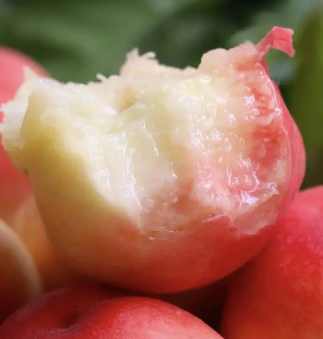 Dx1现摘现发新鲜红不软毛桃水蜜桃脆甜多汁应季水果箱带箱5斤