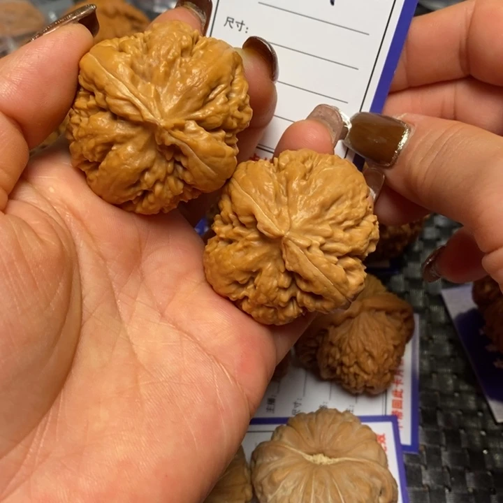 手串文玩核桃809霸王龙40