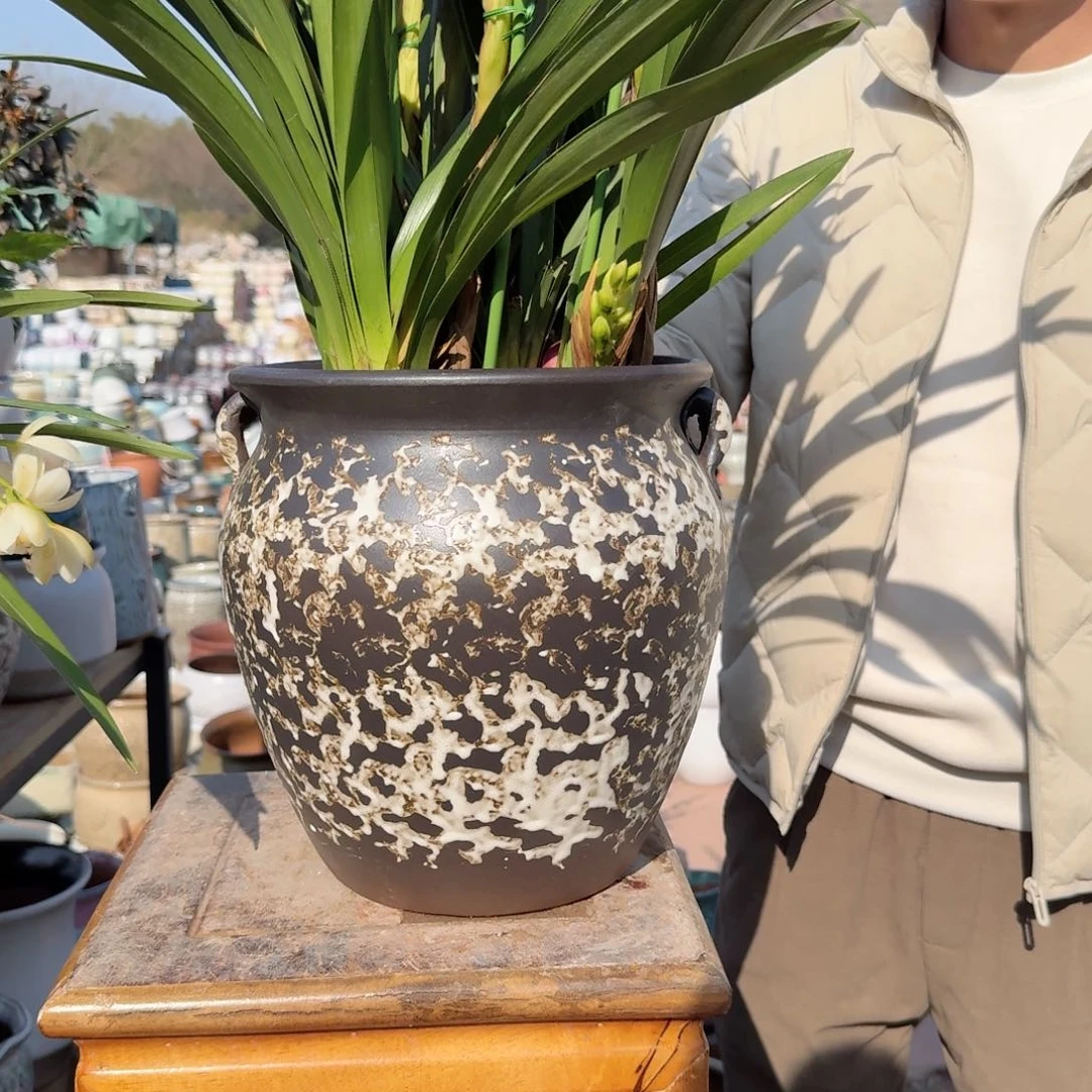 紫砂花盆口25高25（一个泼墨姹寂风耳朵