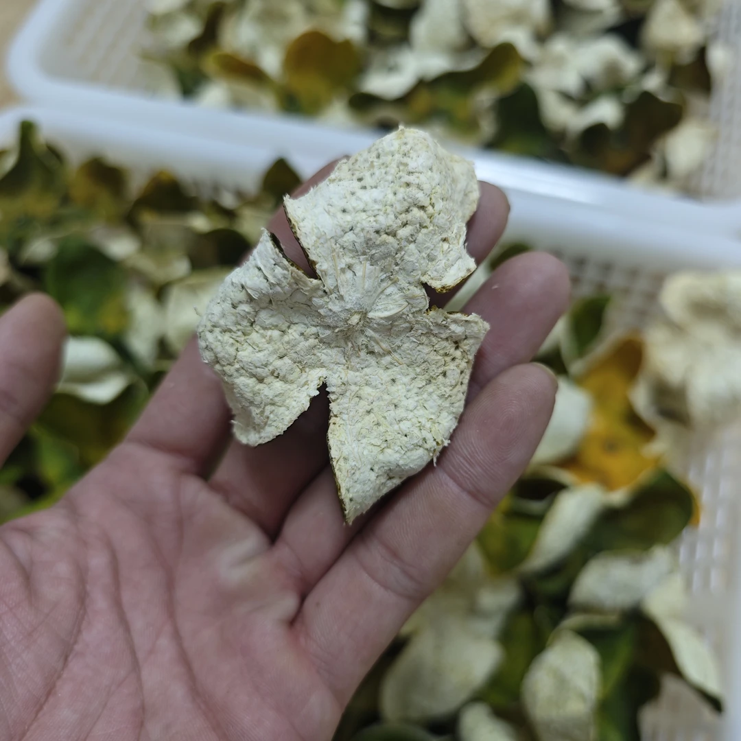 2025年新会天马圈枝二红皮核心产区头采二红果花香清甜柑香浓郁