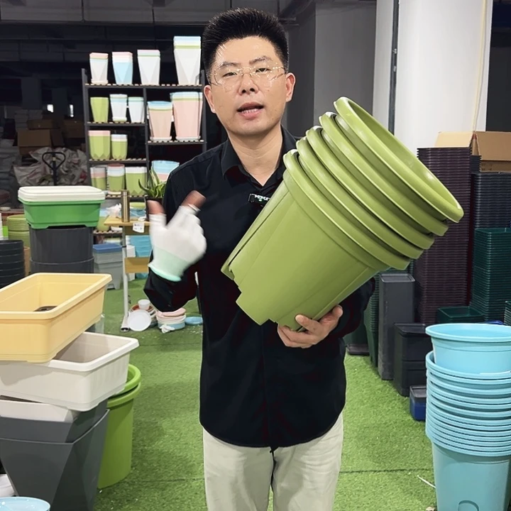 青山口32高28果绿5只无托
