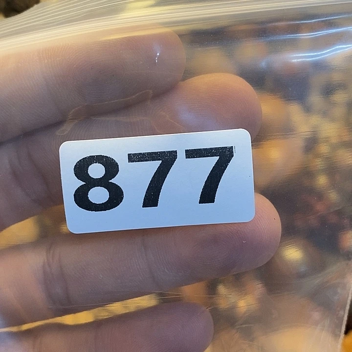 吊坠橄榄核小**间