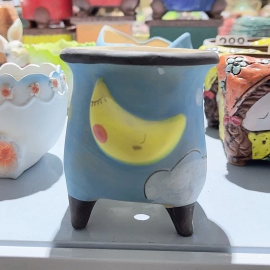 多肉植物花盆花盆