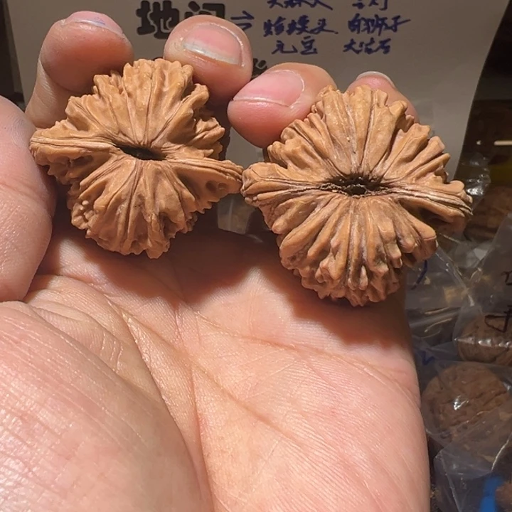 核桃全品无修蓟县四座楼