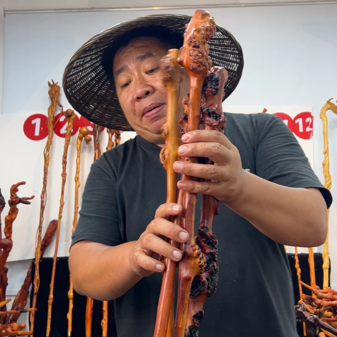 黑果木其他黑果木620