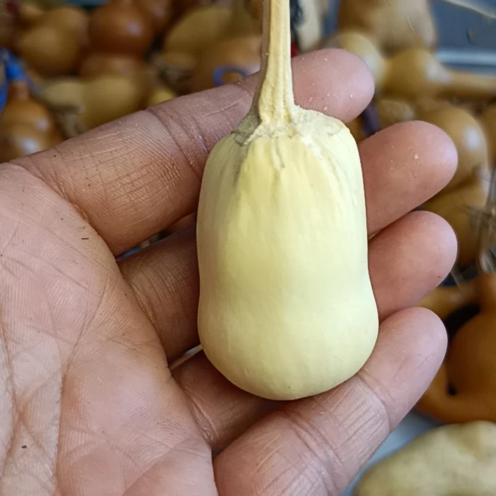 爱*惠葫芦葫芦葫芦葫芦