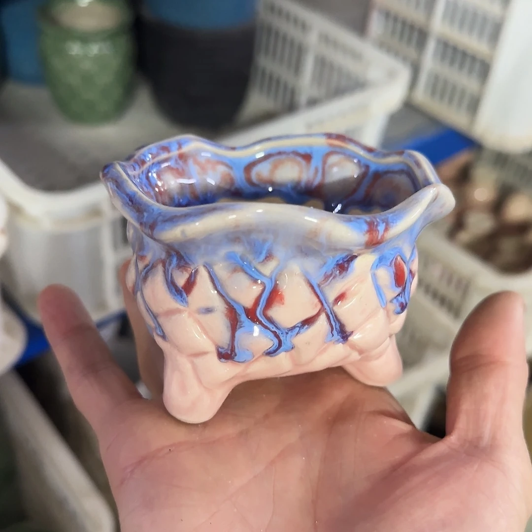 福利局绿植多肉盆［凑9元包邮24小时发］9021