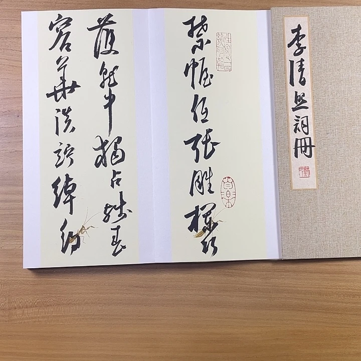 书法中书协会员作品