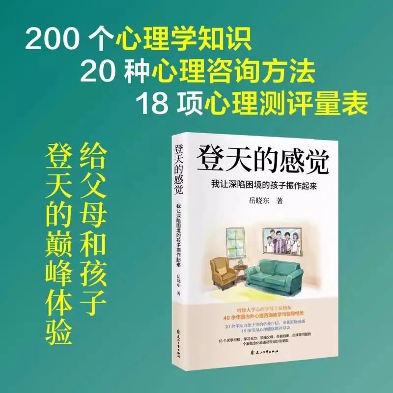 登天的感觉：我让深陷困境的孩子振作起来 岳晓东著