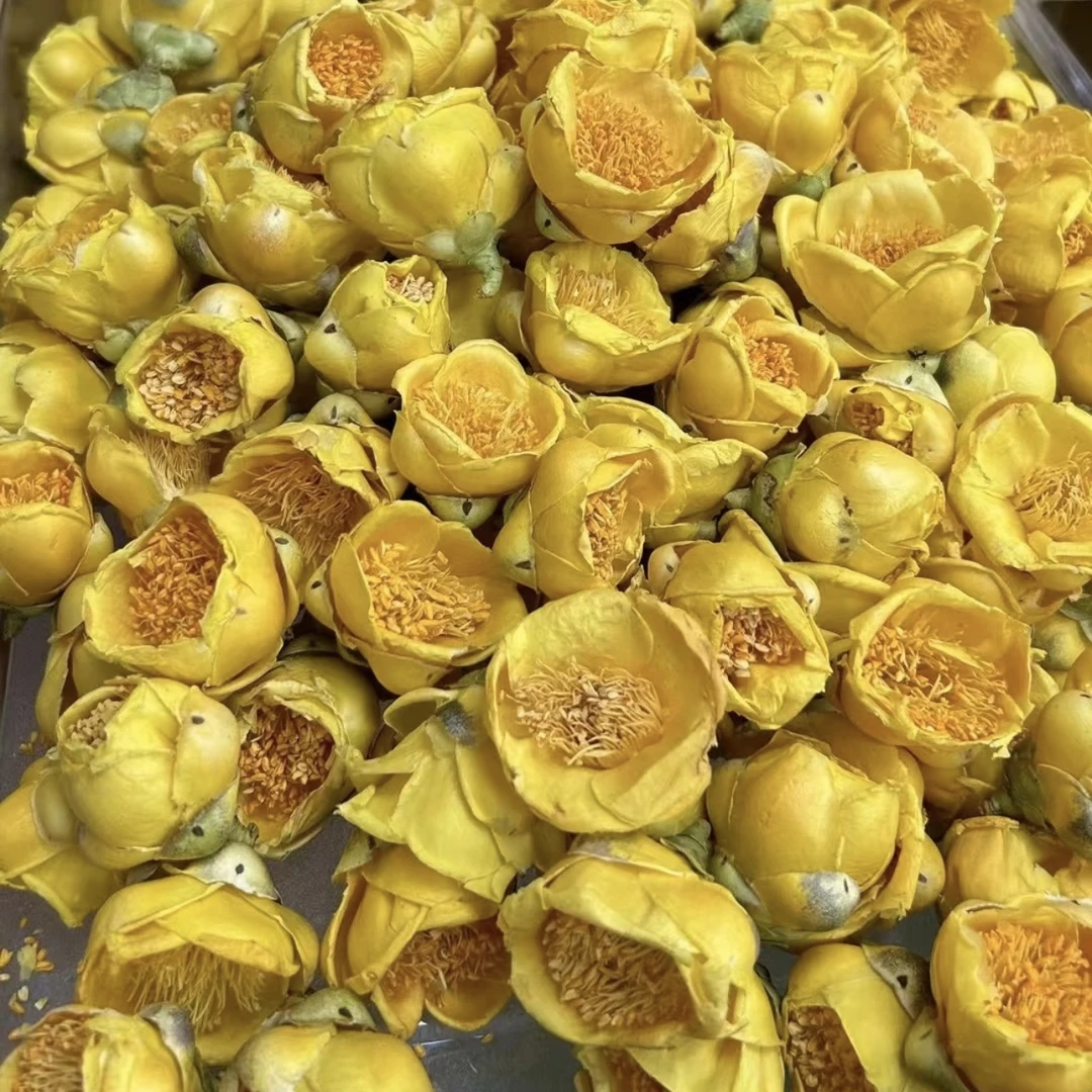 恩施高山  金花茶净重50克