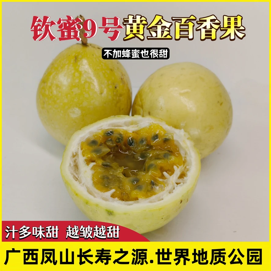 钦蜜9号黄金百香果广西凤山长寿之源当季水果多汁香甜送开果器