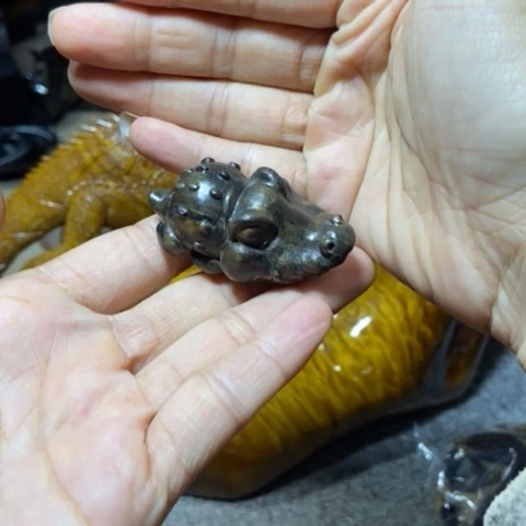 阴沉木小e鱼的手把