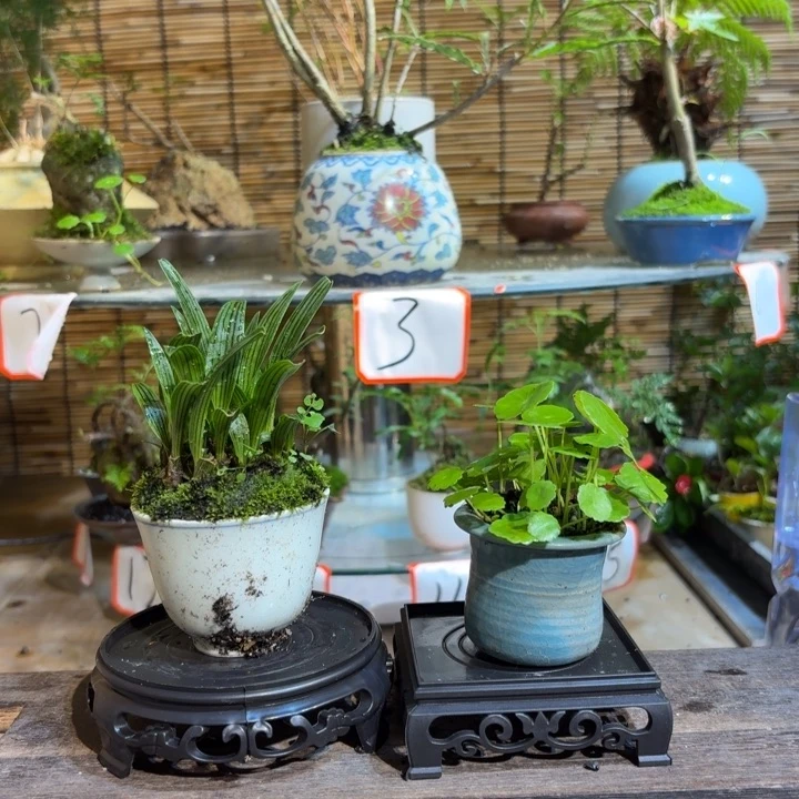 无花朵L***?退款拉黑 一物一拍111