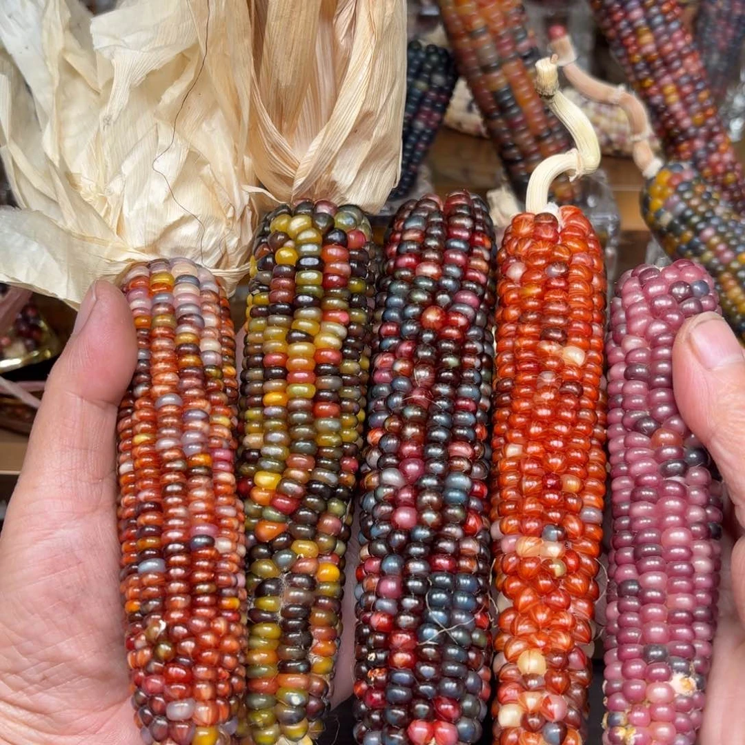 柏香籽/百香籽吊坠一****.