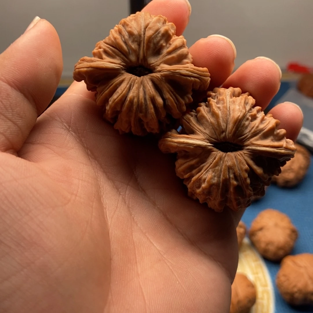 核桃44蓟县楼毕业对