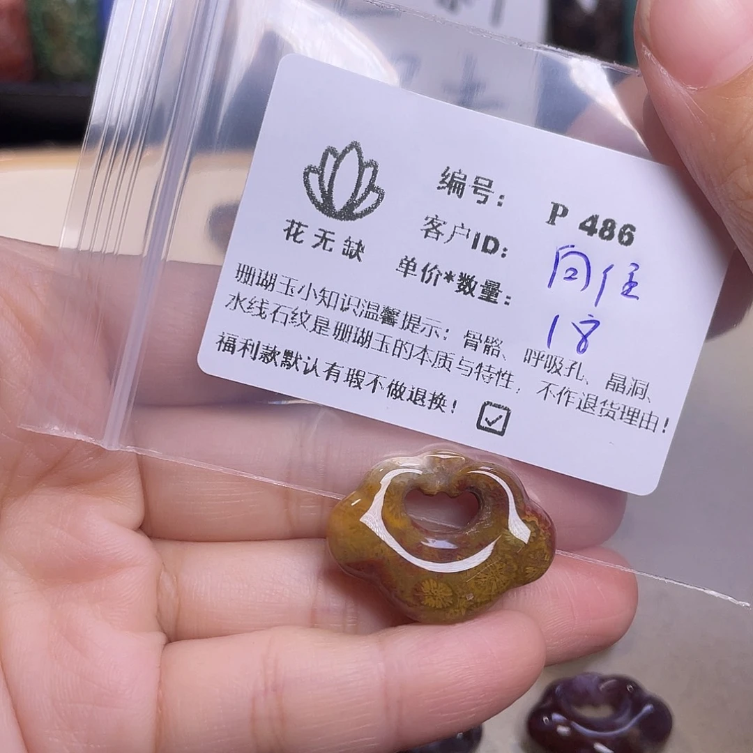 向***往未镶嵌手镯硅化玉