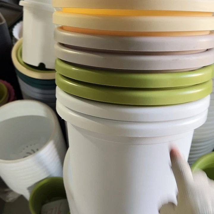 微瑕5#口径29米黄5个无托