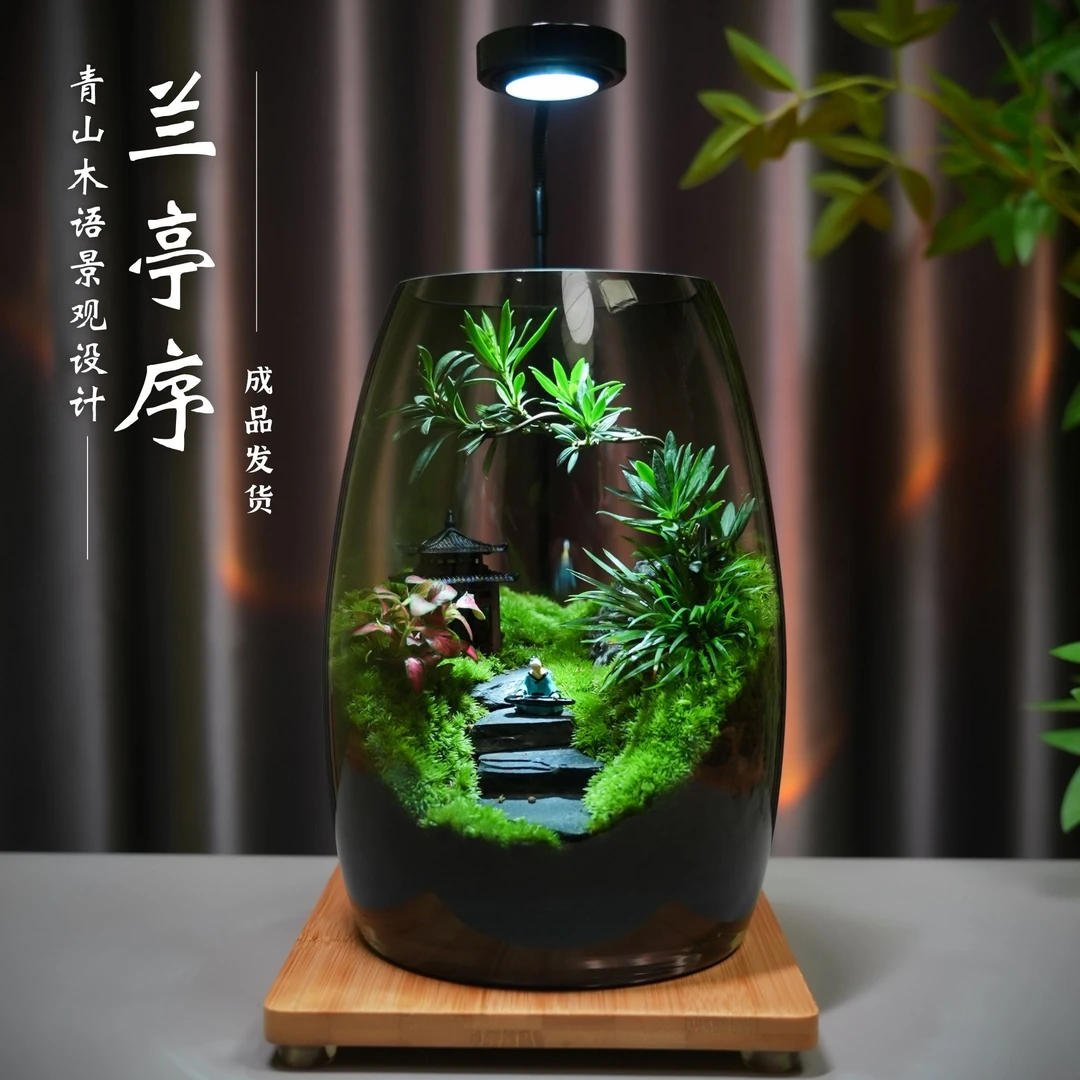 青山木语【兰亭序】创意苔藓微景观桌面办公绿植造景生态瓶礼品摆件