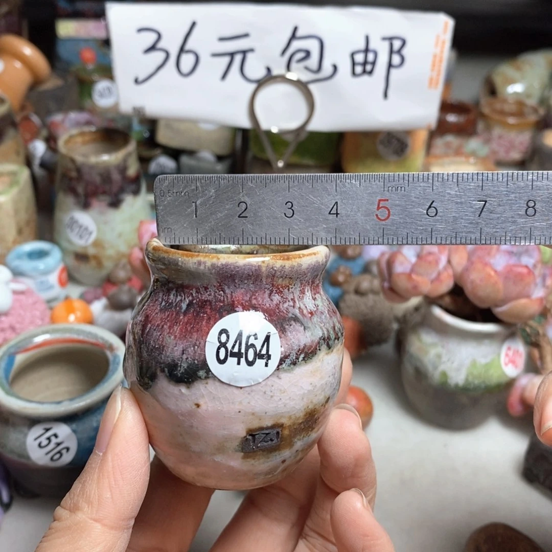 拍5送一个小礼物