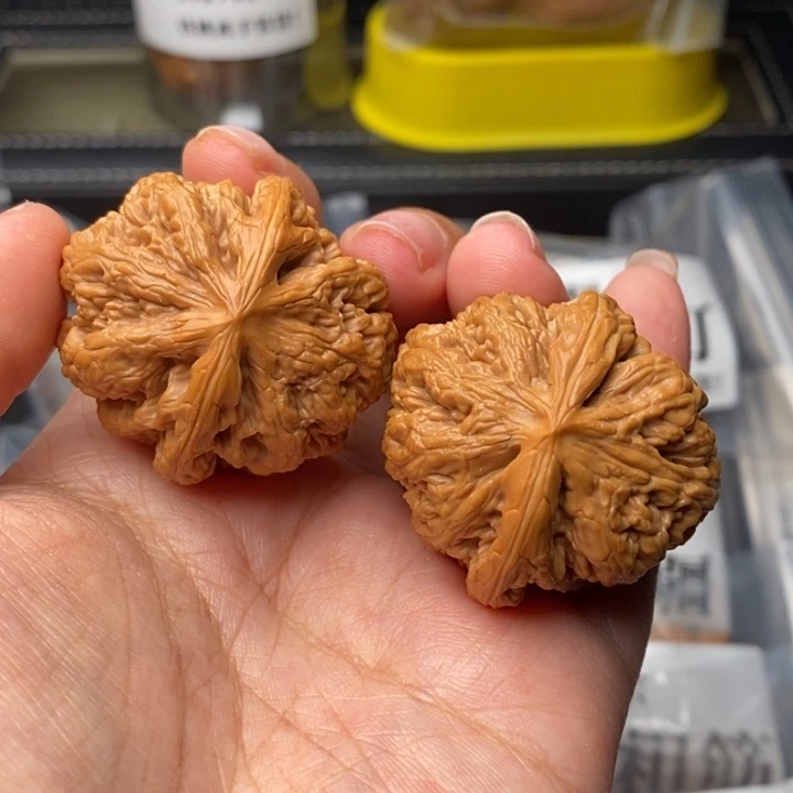 文玩核桃把件人**故37粗筋