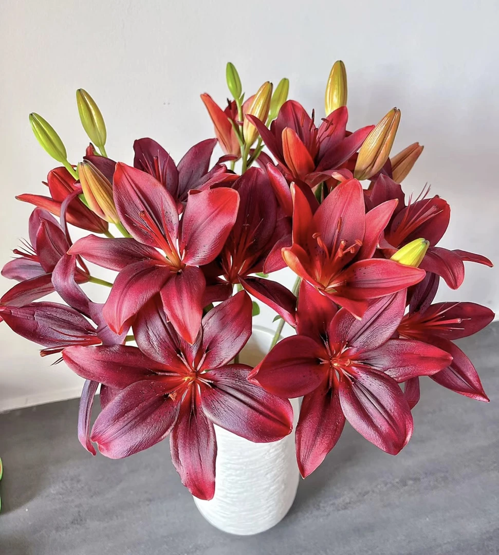 黑色魅力12-15朵百合