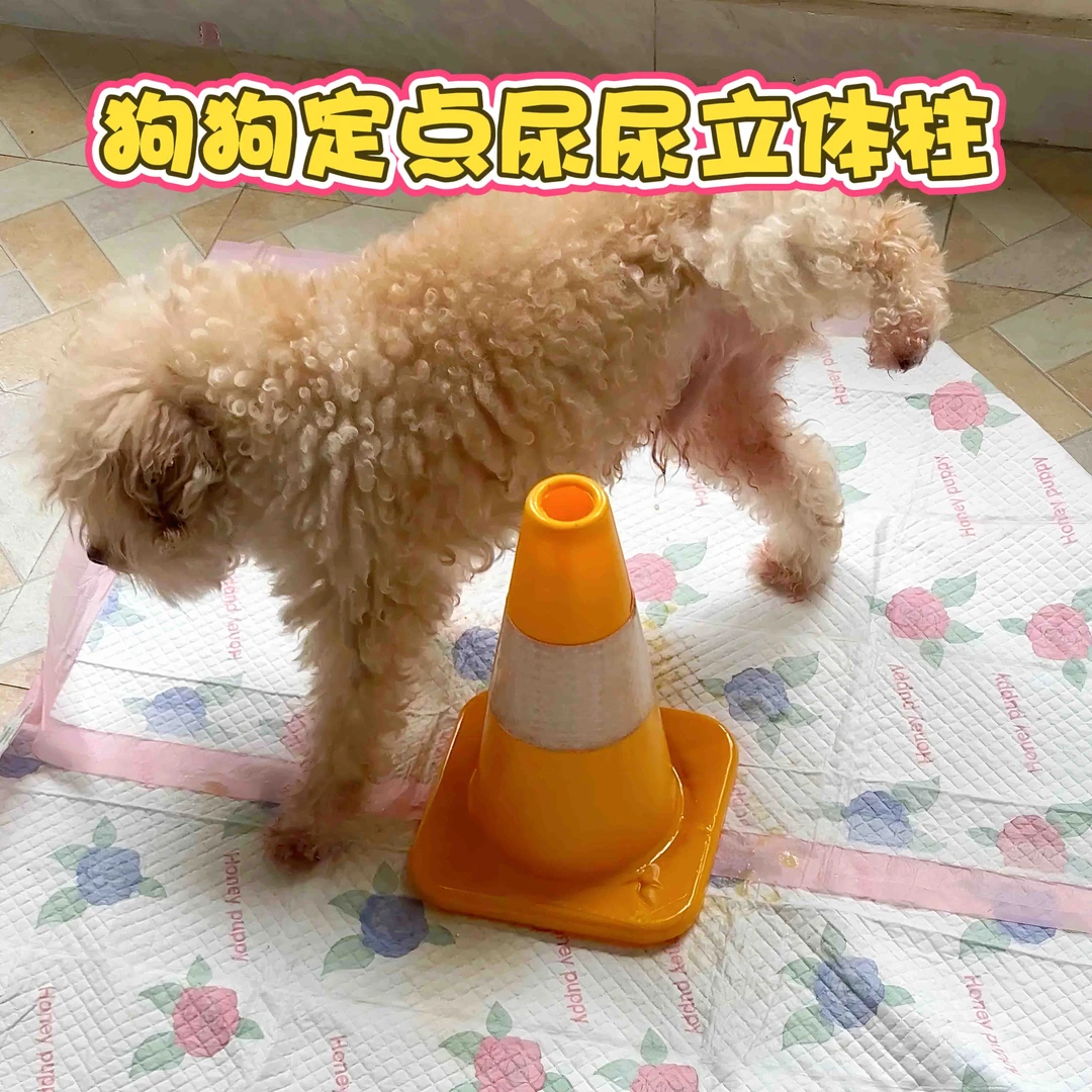 比熊定点上厕所神器狗狗尿尿用雪糕桶筒公狗撒尿立柱引导尿路障
