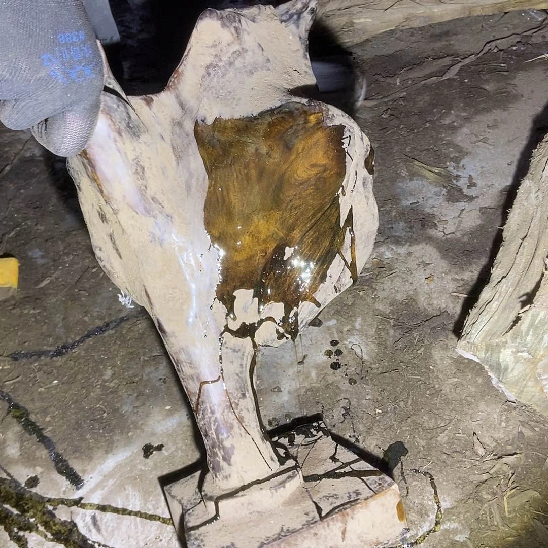 阴沉木小叶桢楠毛料