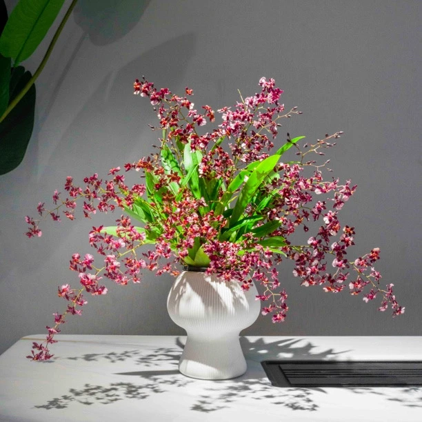 【京东快递】 梦香兰 红色带花苞10-15支花剑室内好养绿植盆栽