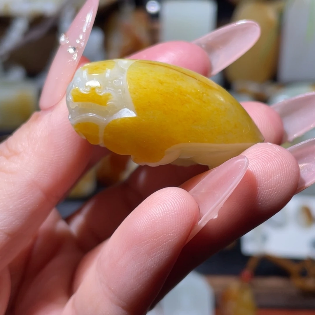 颈饰未镶嵌和田玉（子料）