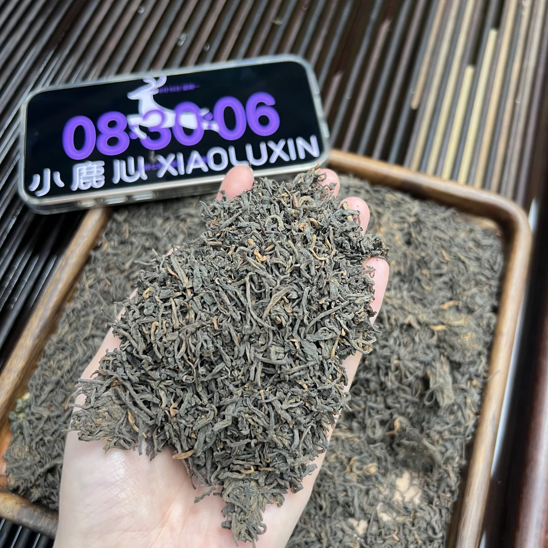 果香六堡茶 小鹿收茶 黑茶 六堡茶  9月15