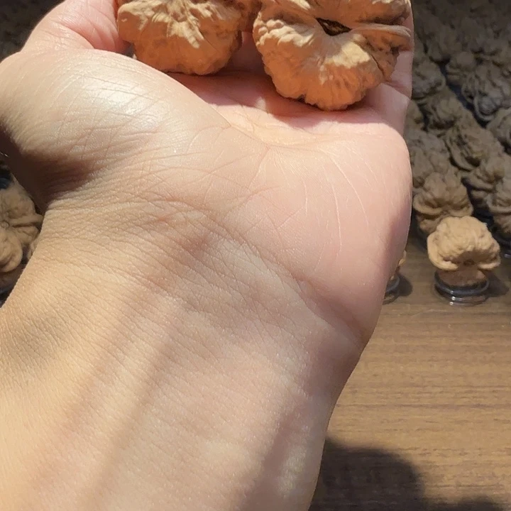 ****龙核桃蛤蟆的眼睛是真的好看
