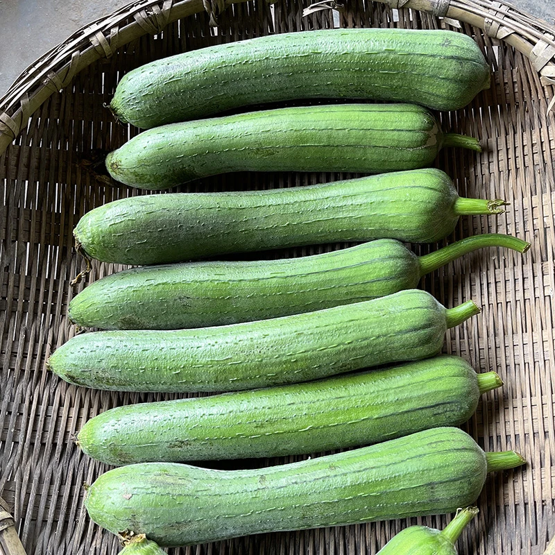 顺丰包邮【嫩丝瓜】信阳本地丝瓜/嫩爽丝滑纯天然/清炒煮汤炒鸡蛋