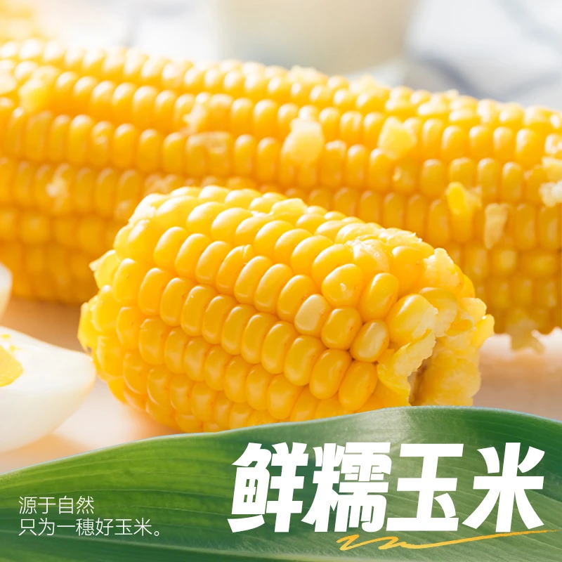 稻村壹号8支装东北鲜黄糯玉米黑糯早餐软糯香甜苞谷真空装黏玉米