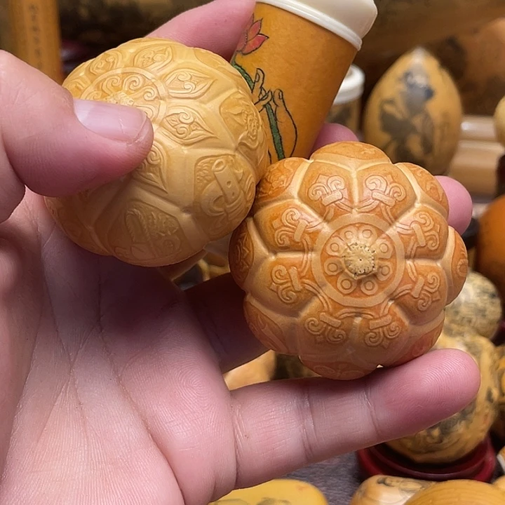 抱***观我是一只小小鸟地域