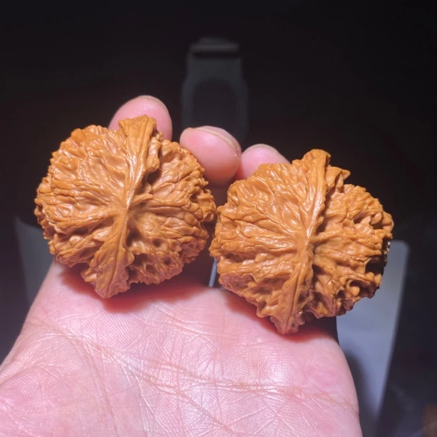 H22号45尺寸苹果园全品无修文玩核桃一物一图打好底