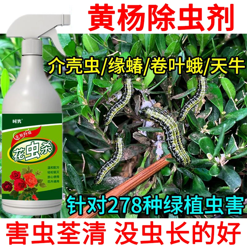 黄杨专用营养液除虫剂蚜虫红蜘蛛卷叶螟斑蛾植物虫害通用防虫肥料