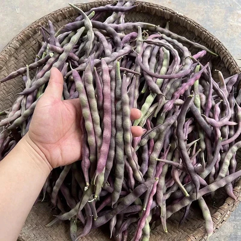 云南特产山货~紫豆角~卤蛋甄选
