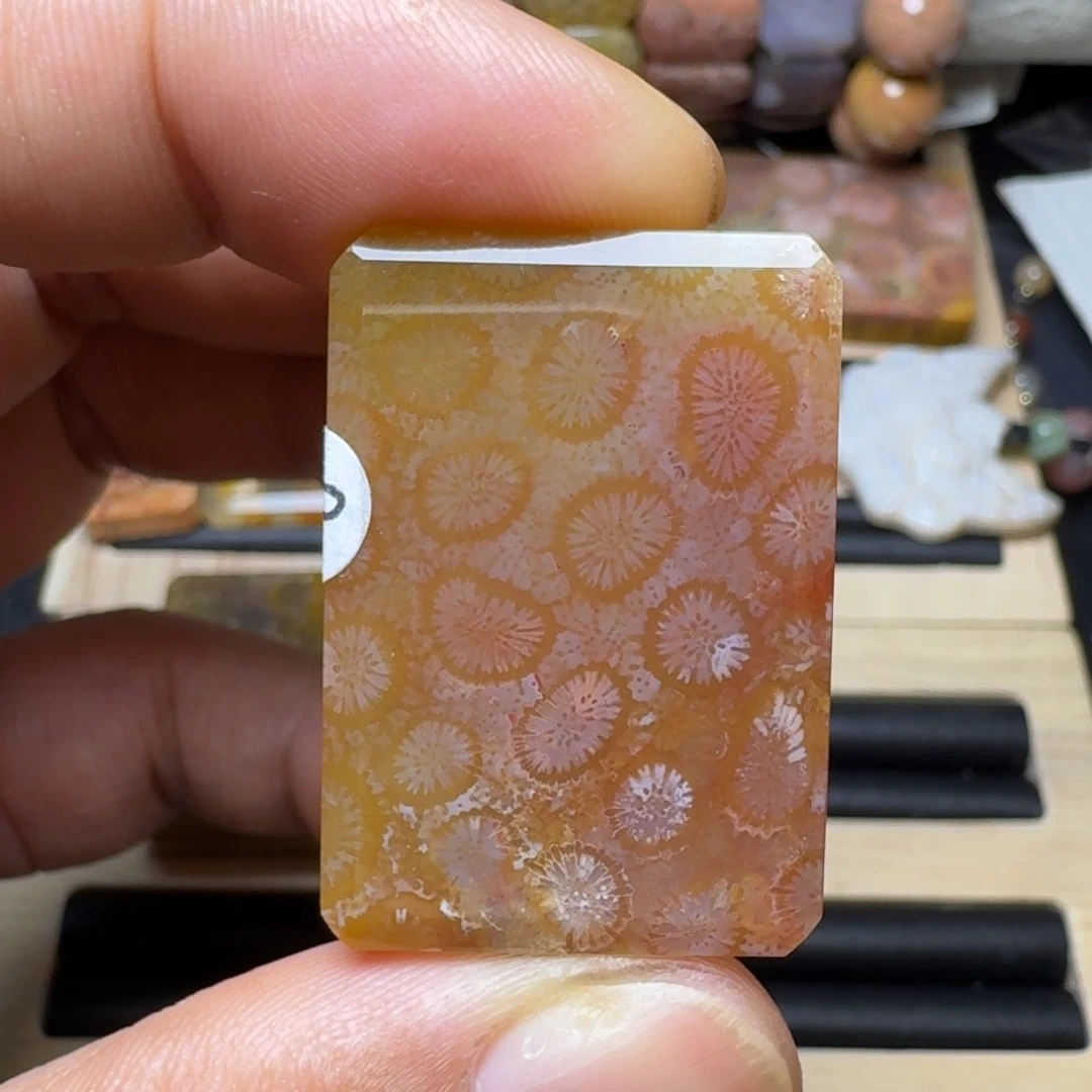 硅化玉未镶嵌纯天然色有机玉石保真色