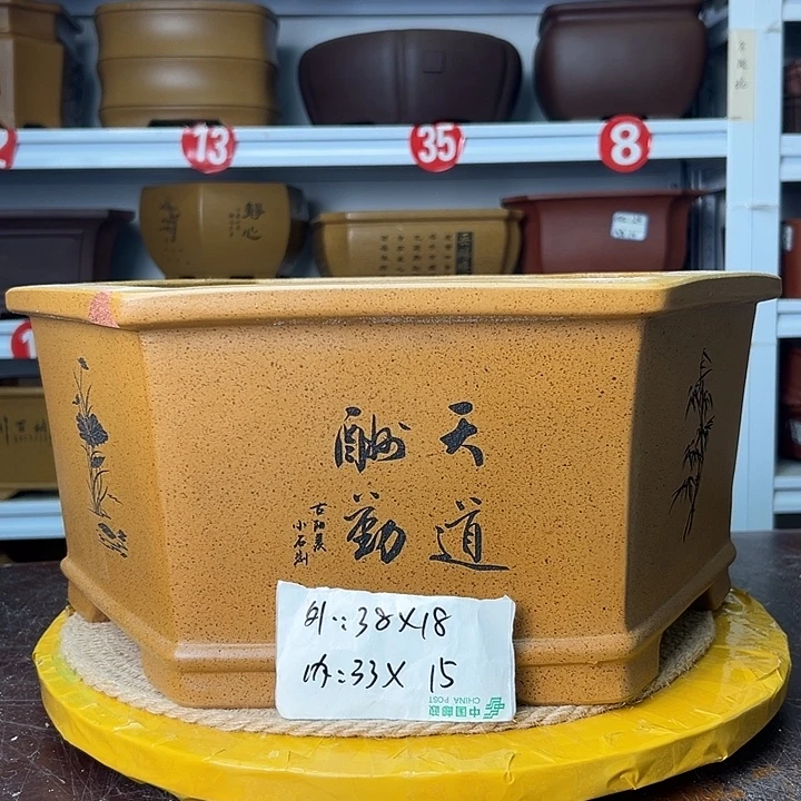 紫砂花盆蛇年大吉