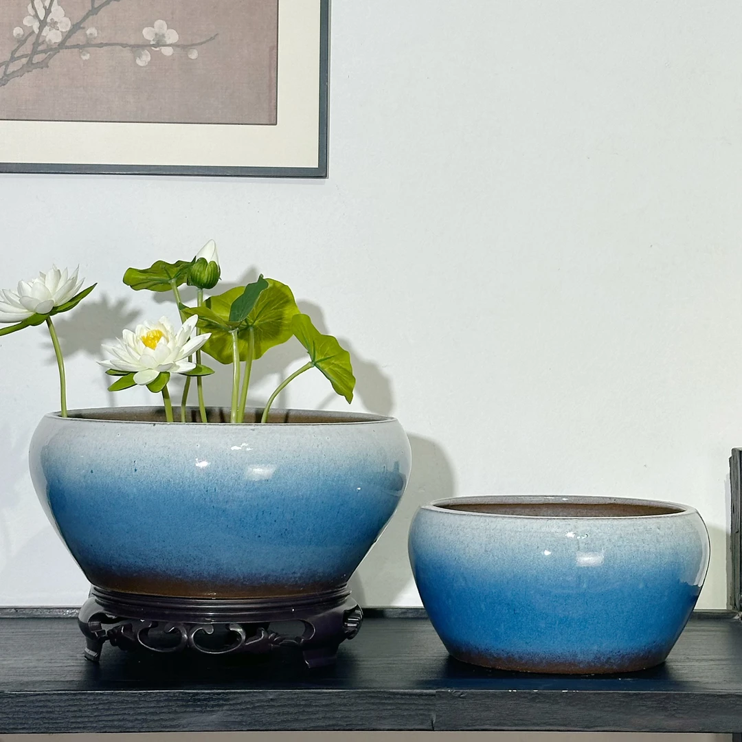 碗莲专用盆水培花盆鱼缸碗莲花盆陶瓷盆无孔花盆铜钱草花盆