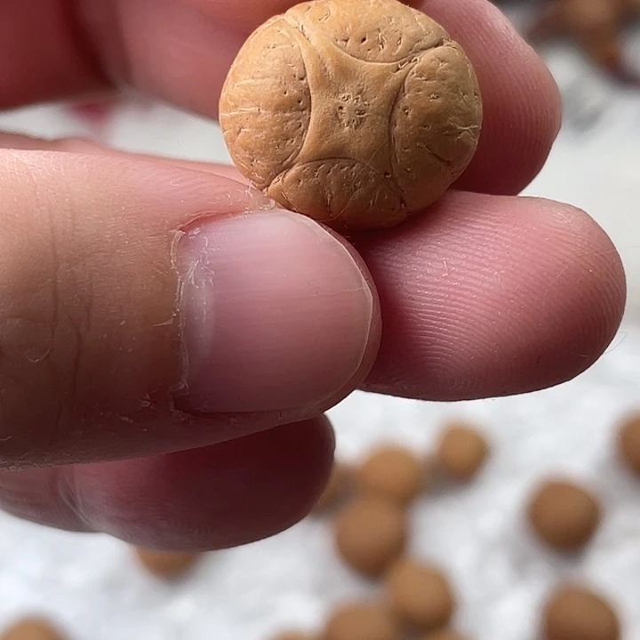 凤眼菩提吊坠尼泊尔小凤眼