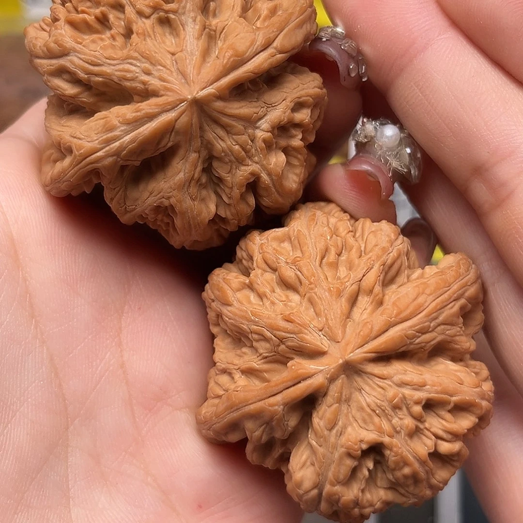 星***辰把件文玩核桃48-28753-02
