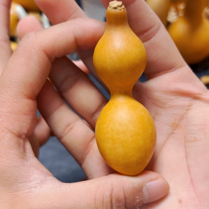 雷*888888888888888888