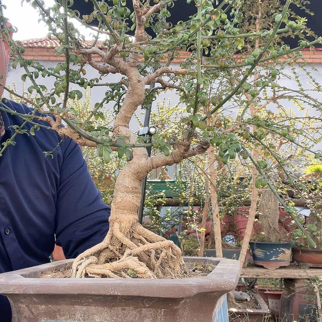 东***通无花朵谢谢你的关心和支持