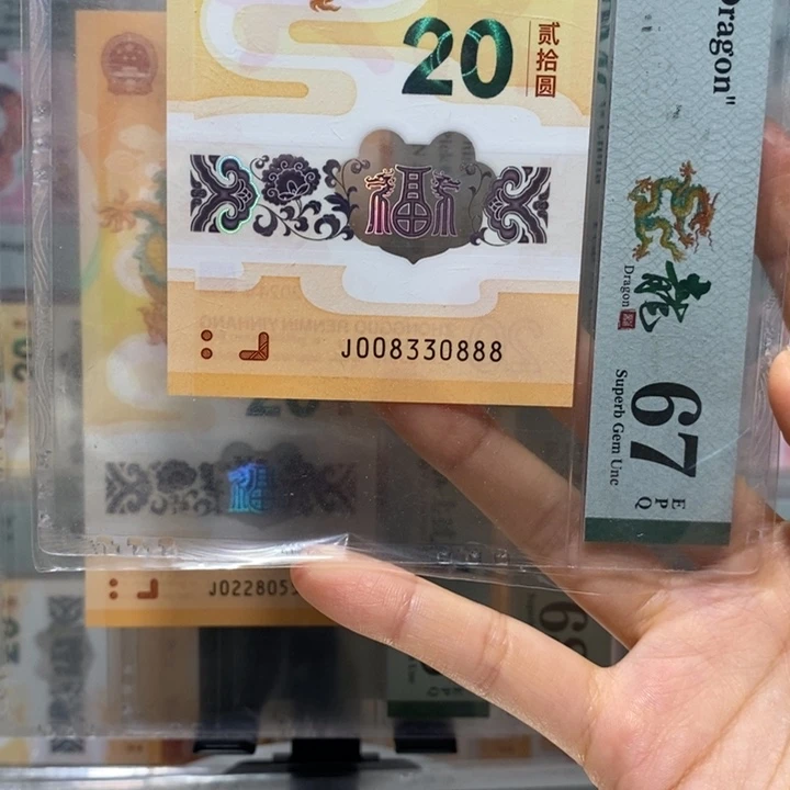 小龙钞倒影王龙三豹子8