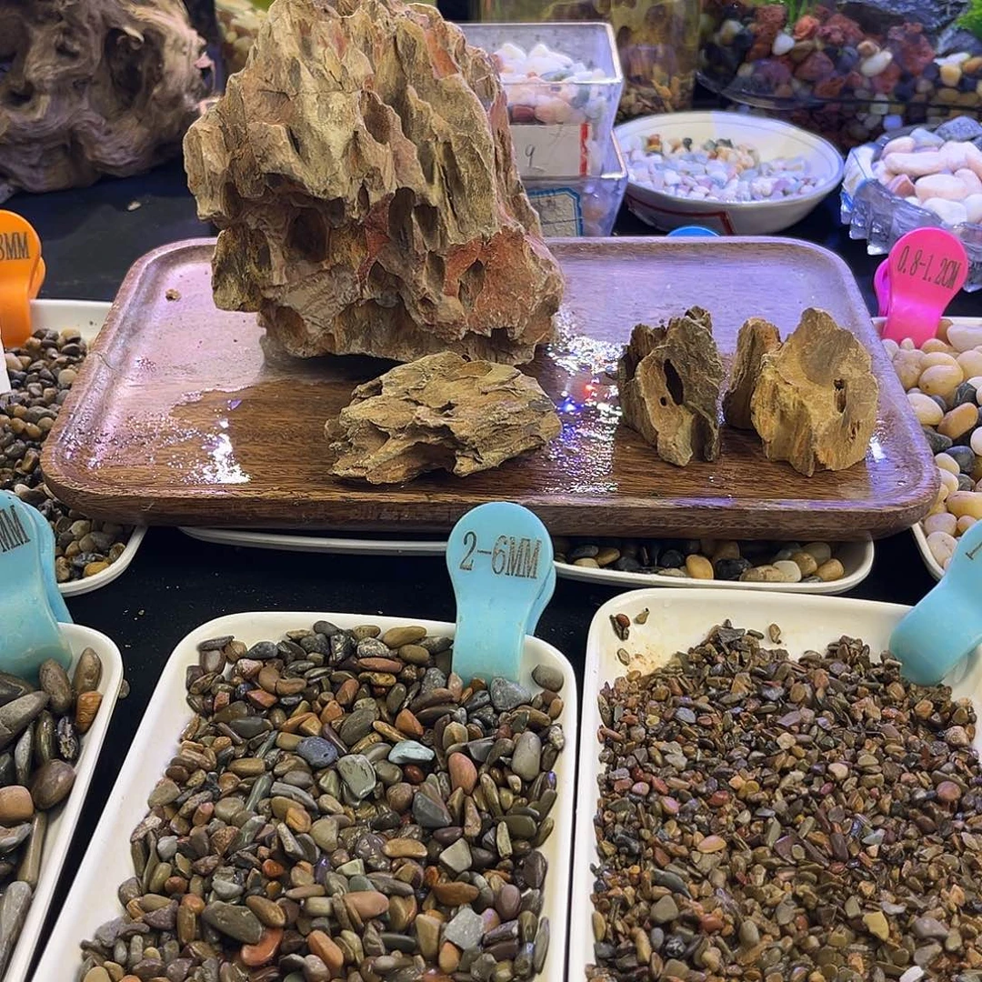 3号纯天然的松皮石1大3小