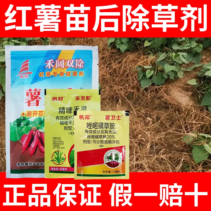 1薯卫士红薯地除草剂精喹禾灵唑嘧磺草胺番薯甘薯田专用除草剂