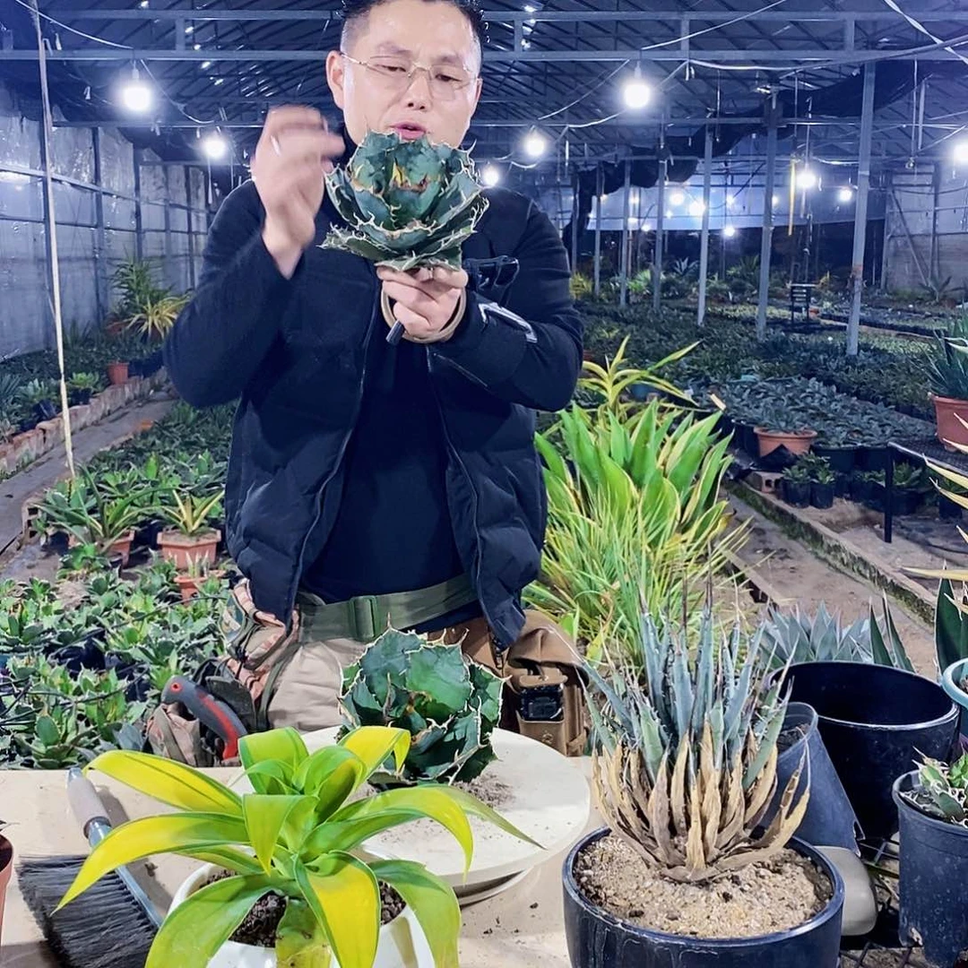 睿****园白鲸一颗9855